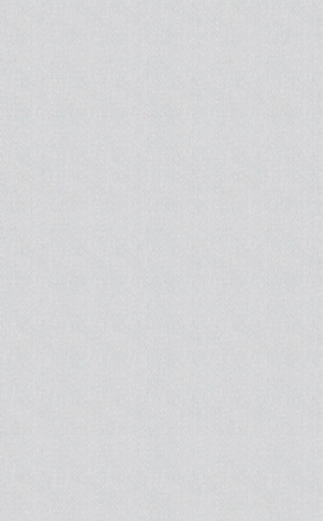 PLATINUM 25X40 HELIOS GREY BASIC DIS